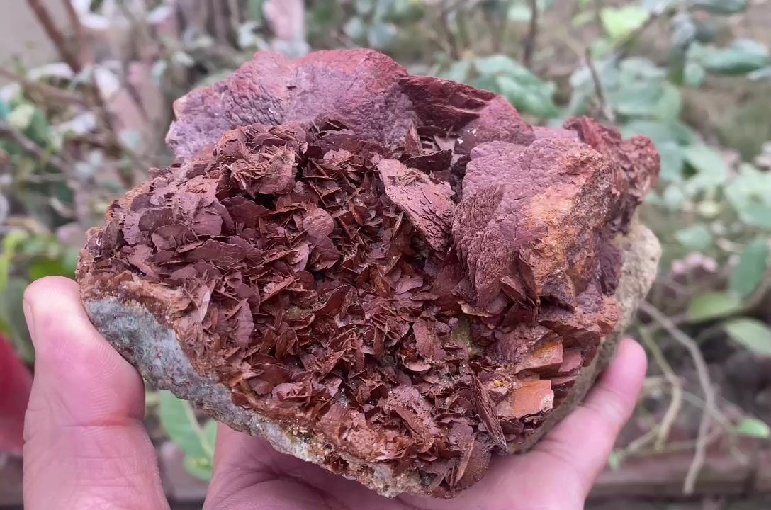 @Minerals.Himalaya