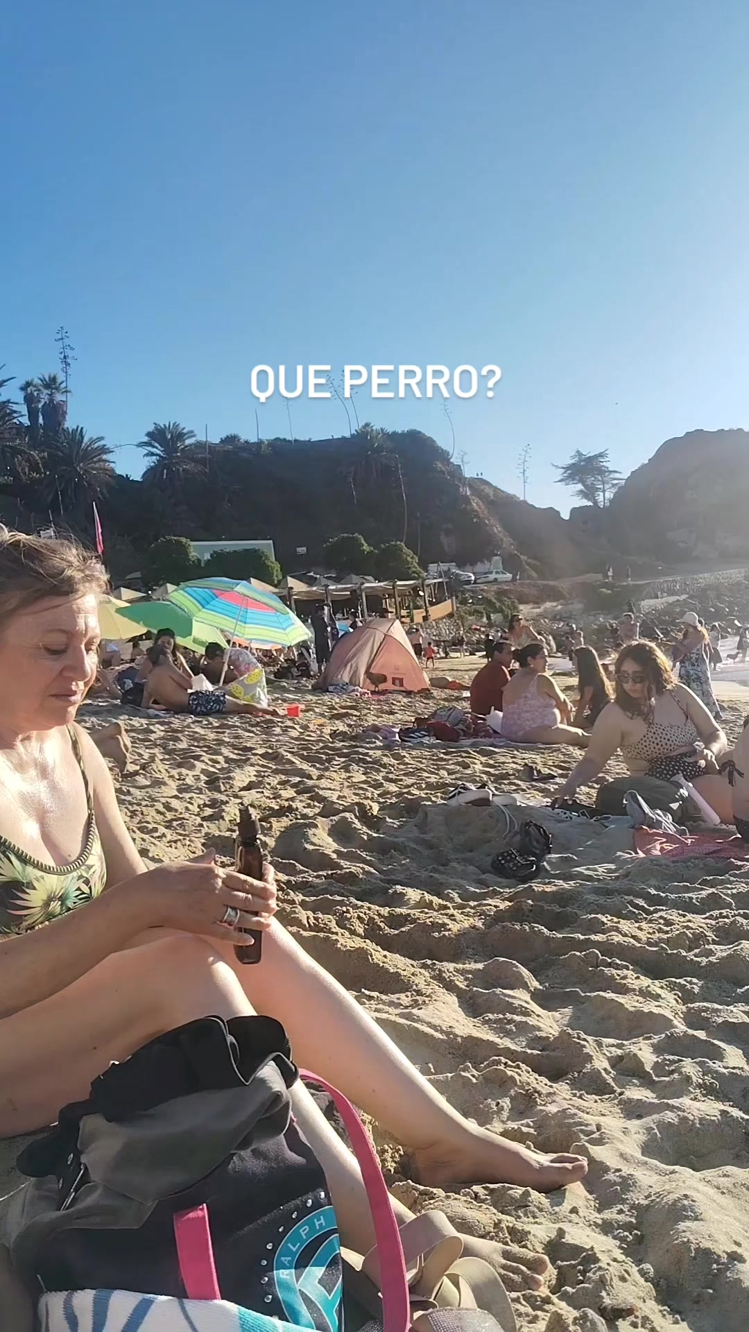 @sara chiesa
