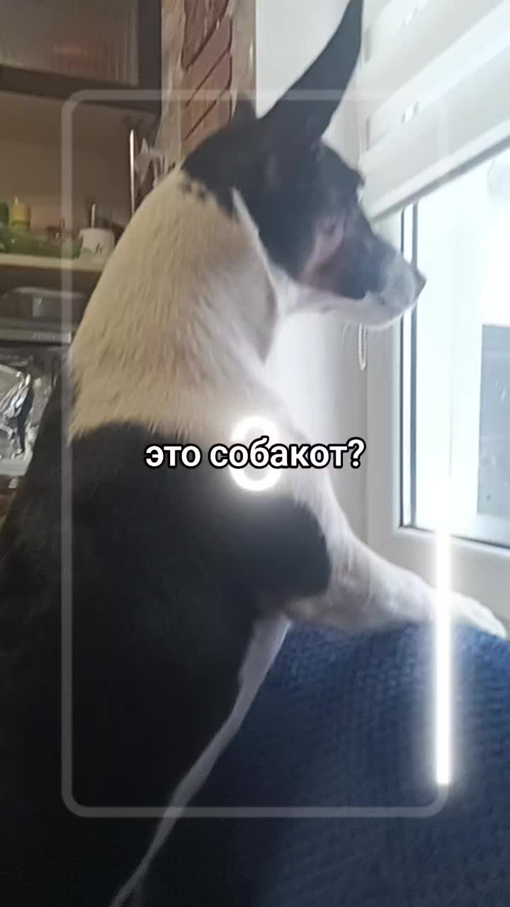 @[307] [354] [215] [457] .