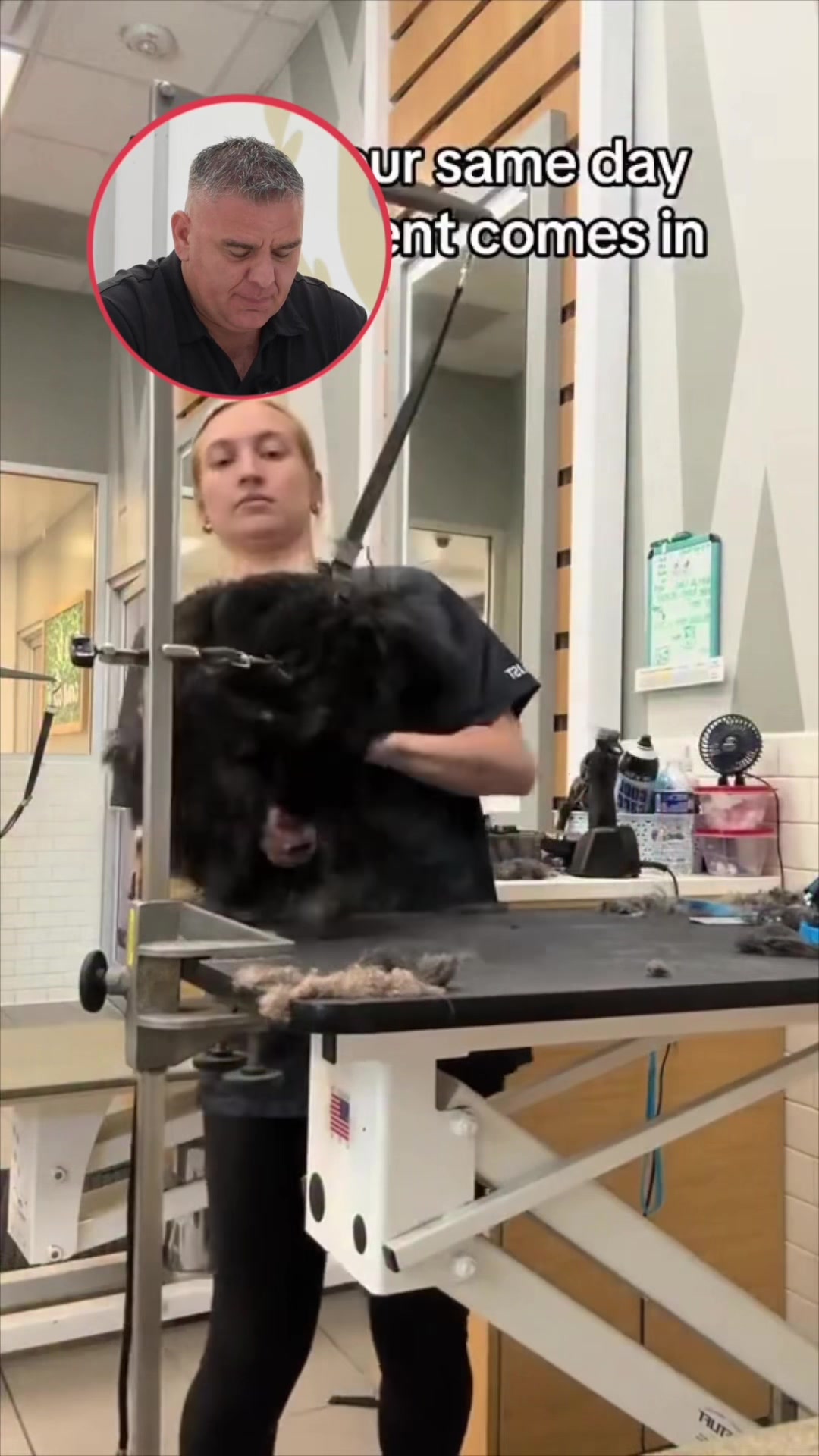 @NorCal Grooming Academy
