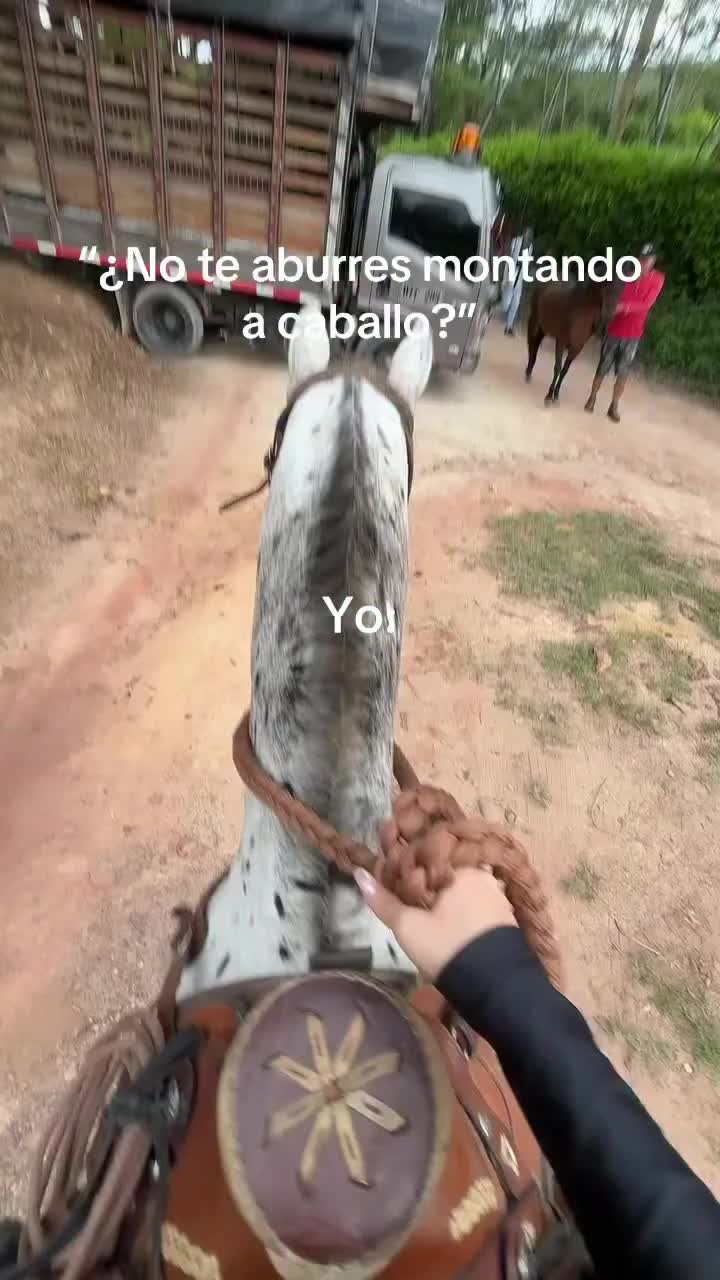 @ThunderGallops