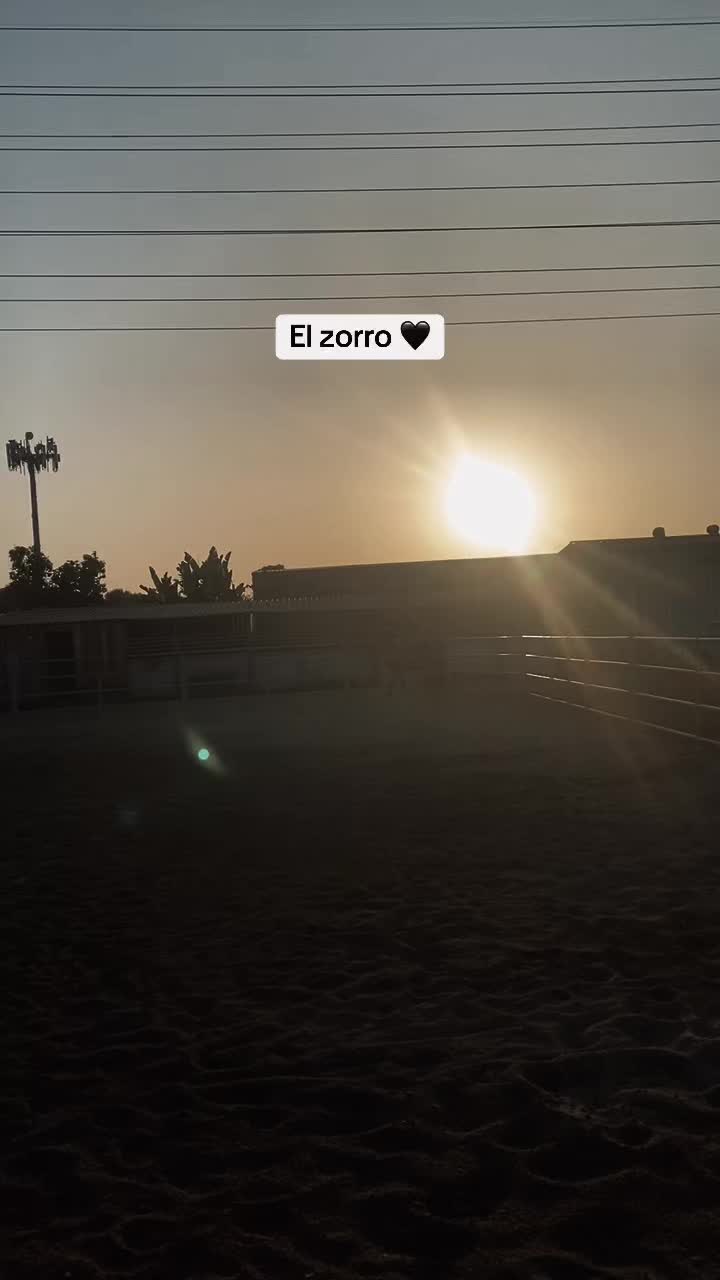 @Daniela 💙