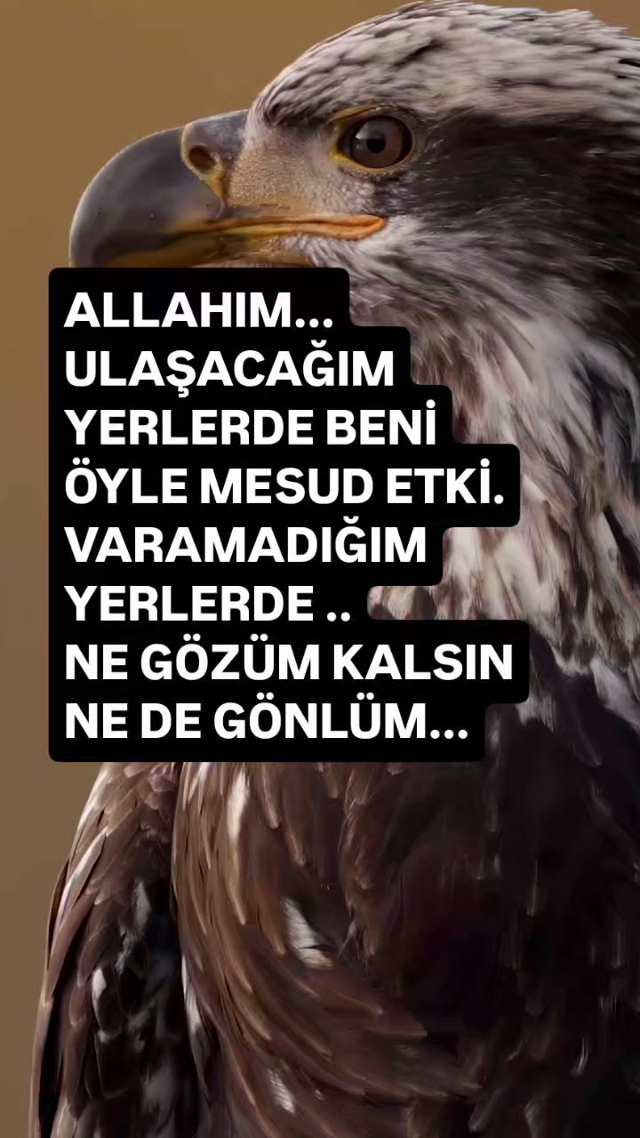 @__İREM__