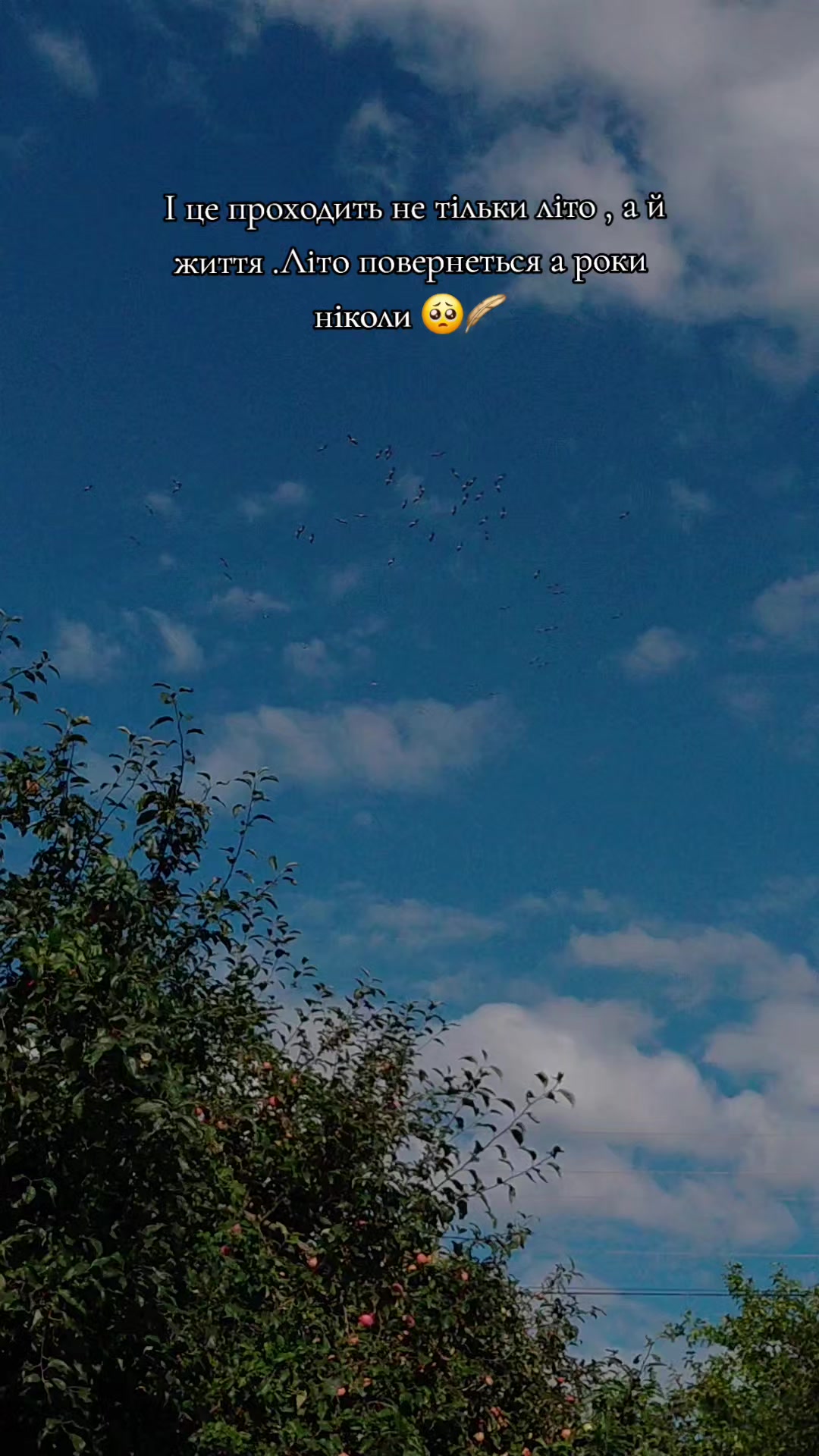 @Ластівка 🕊