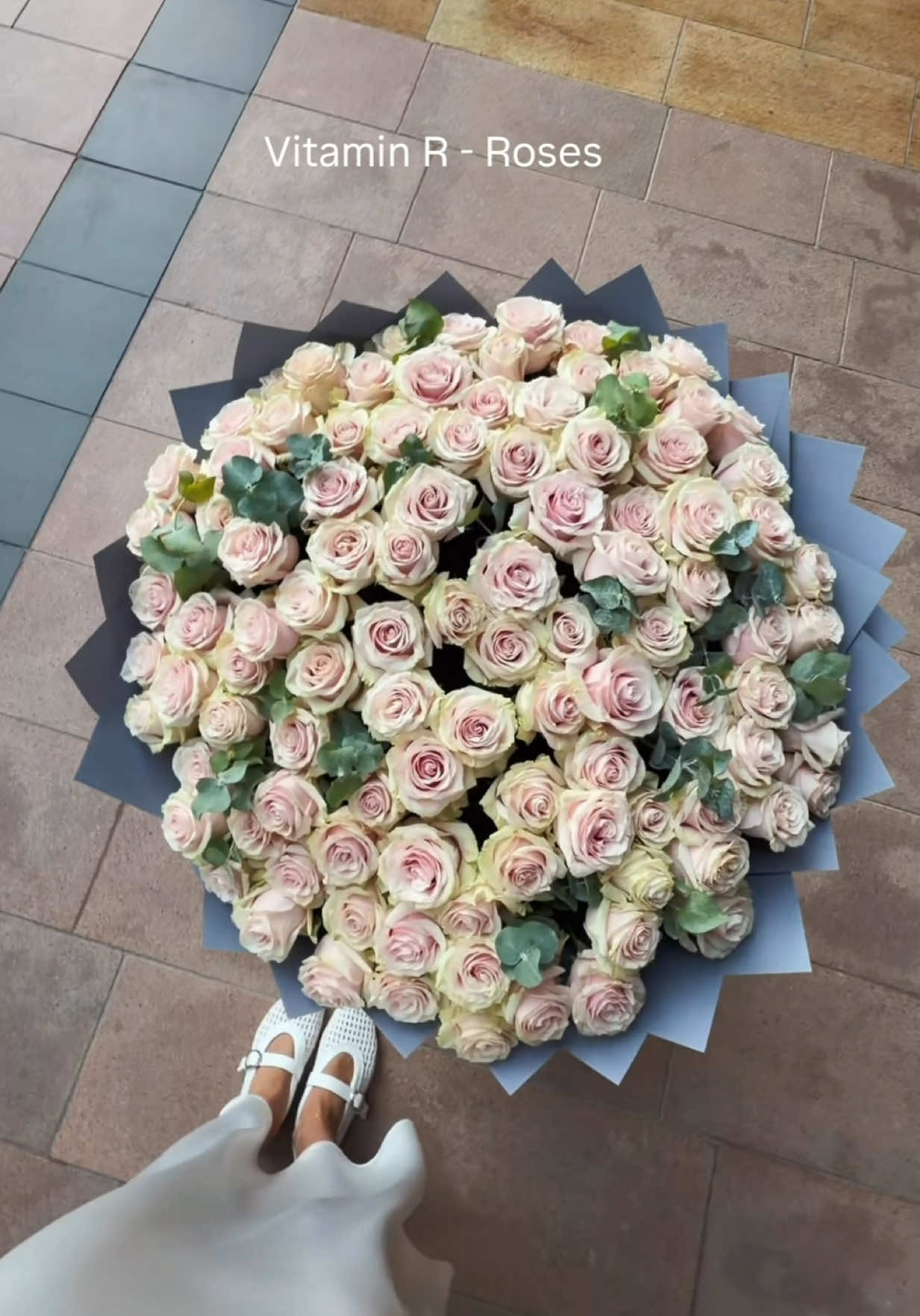 @BLOMMA CONCEPT