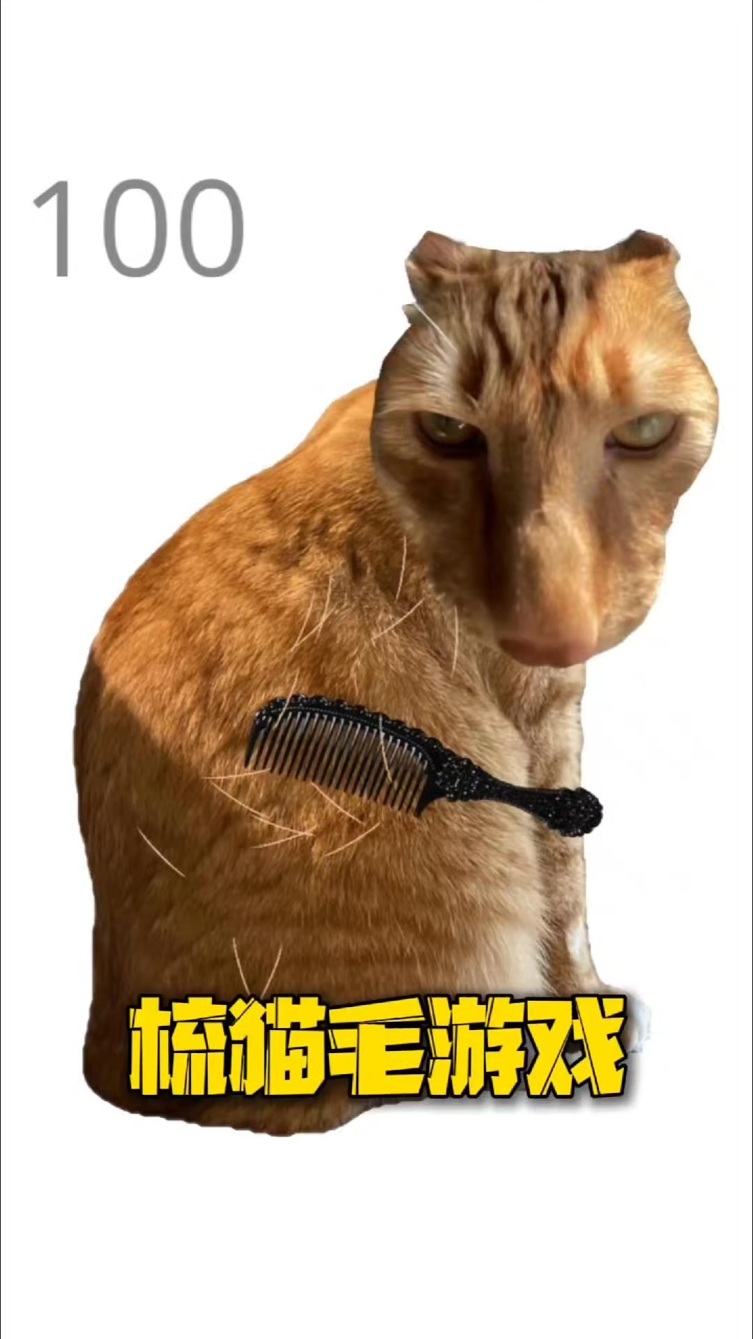 @二狗司令