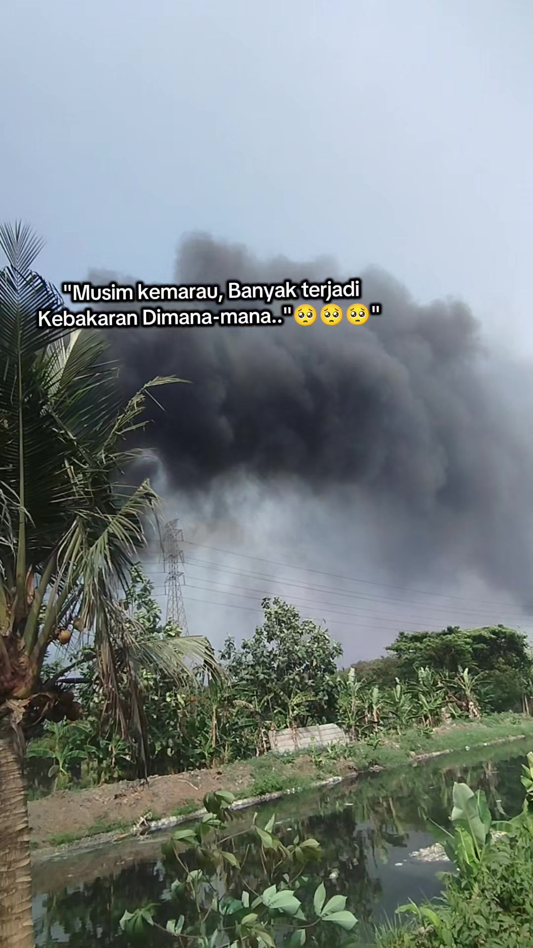 @Shanshan Ngapruk