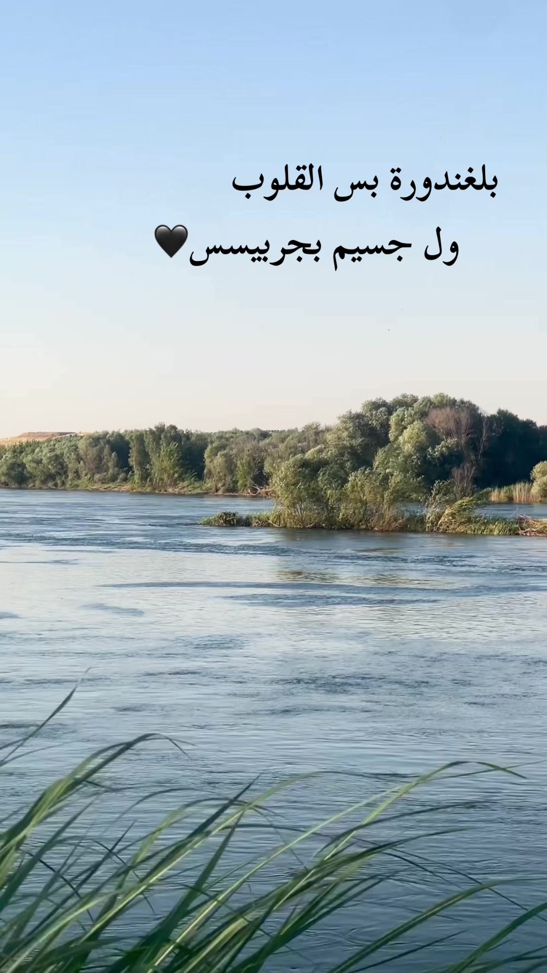 @سـريـانو MG 𓆩🇸🇾