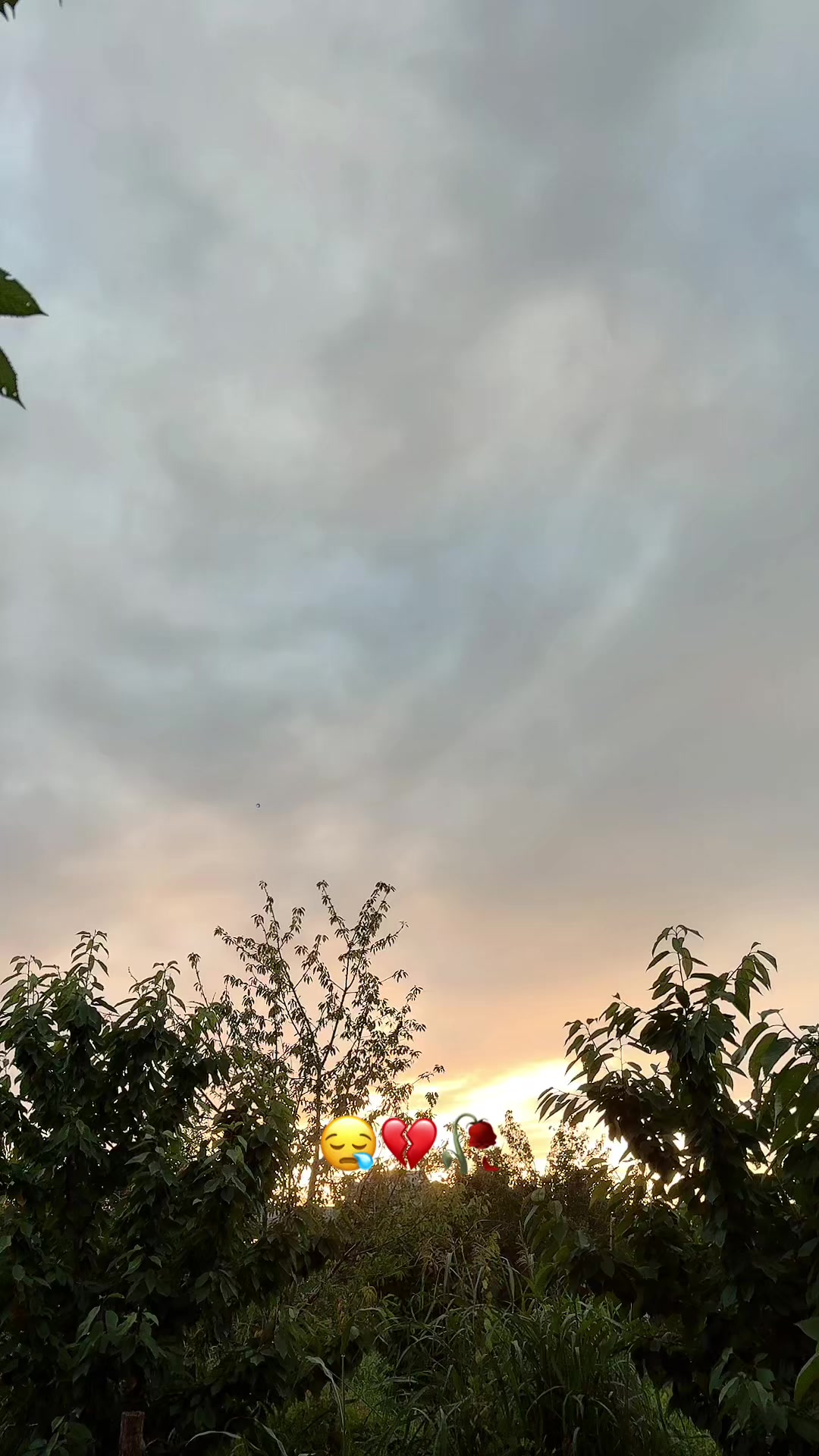 @Könül