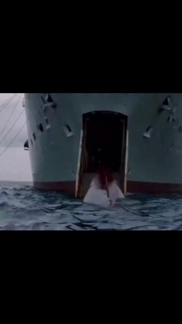 @SEA SHEPHERD