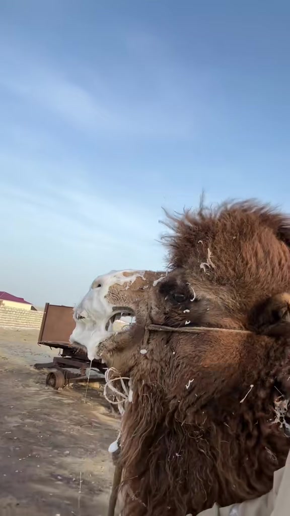 @Нұржан Ардана