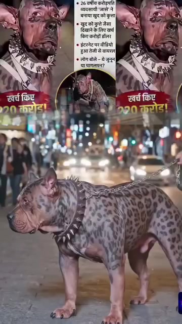 @RJ sunil kumar