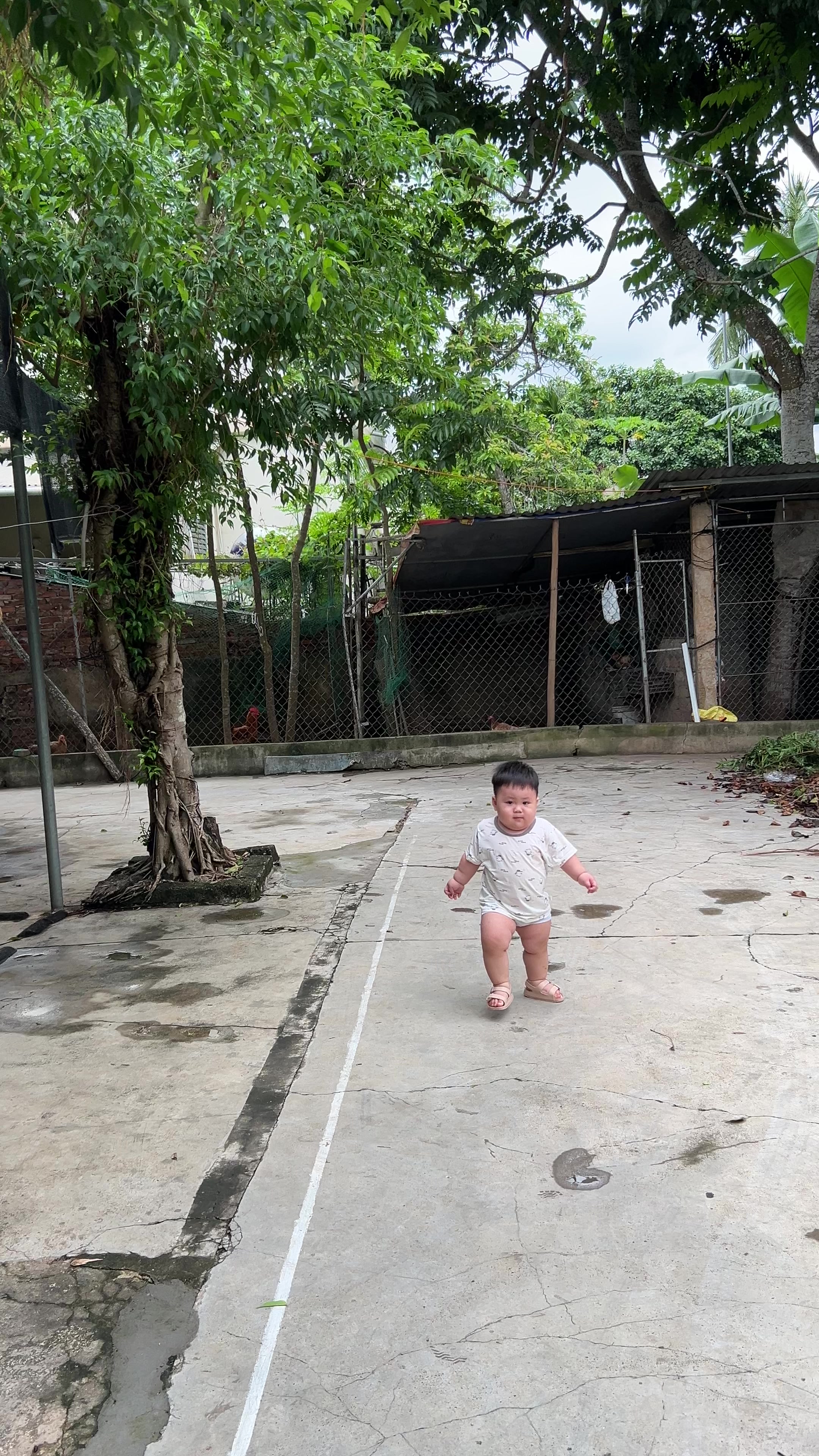 @Sứa biển🪼