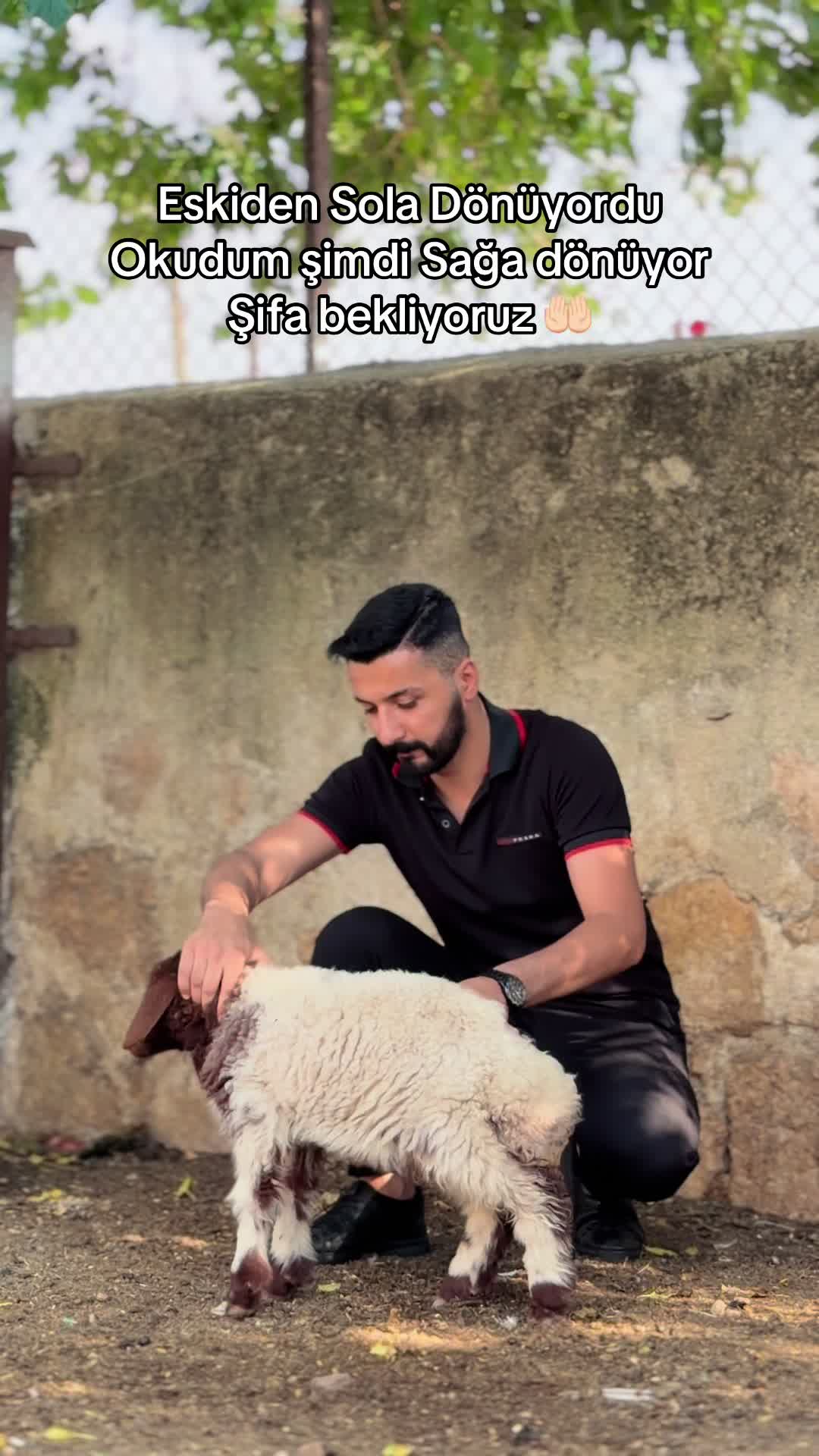 @İbrahim PUSE 🕊️