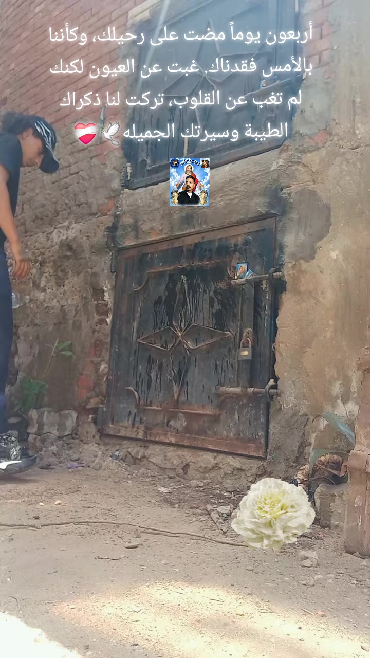 @minaaakool