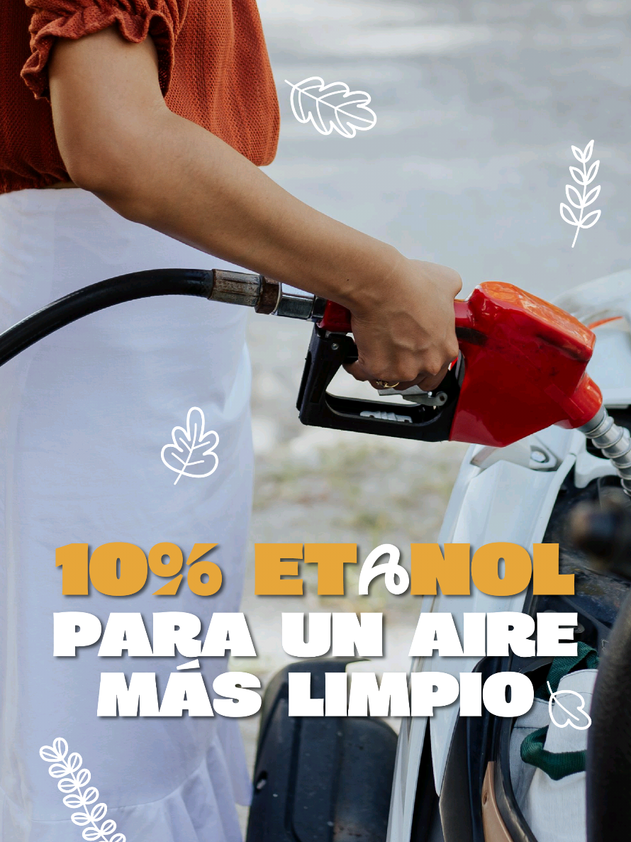@Ministerio de Ambiente GT