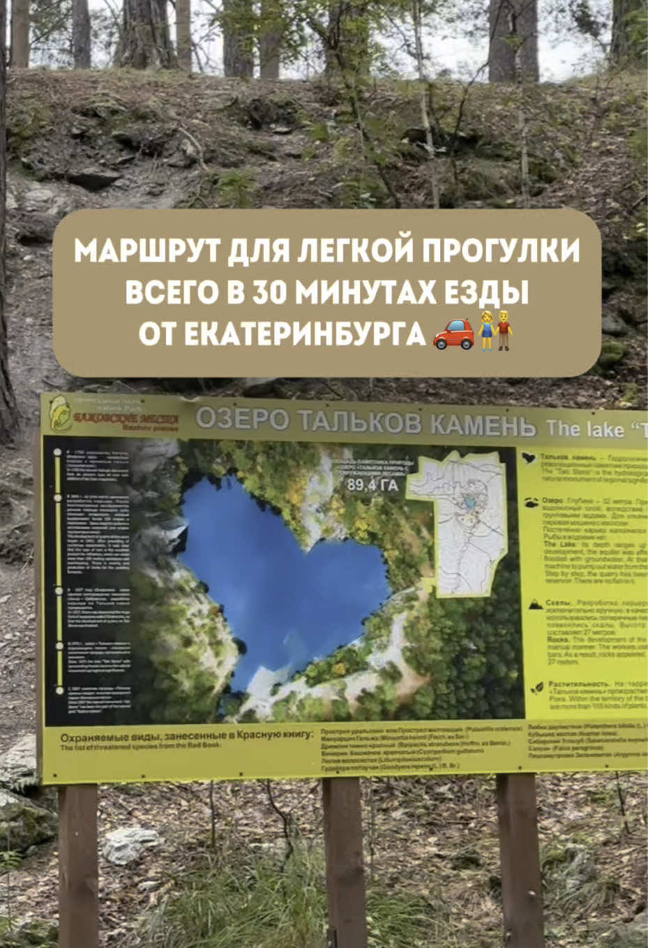 @Катя Некрасиха
