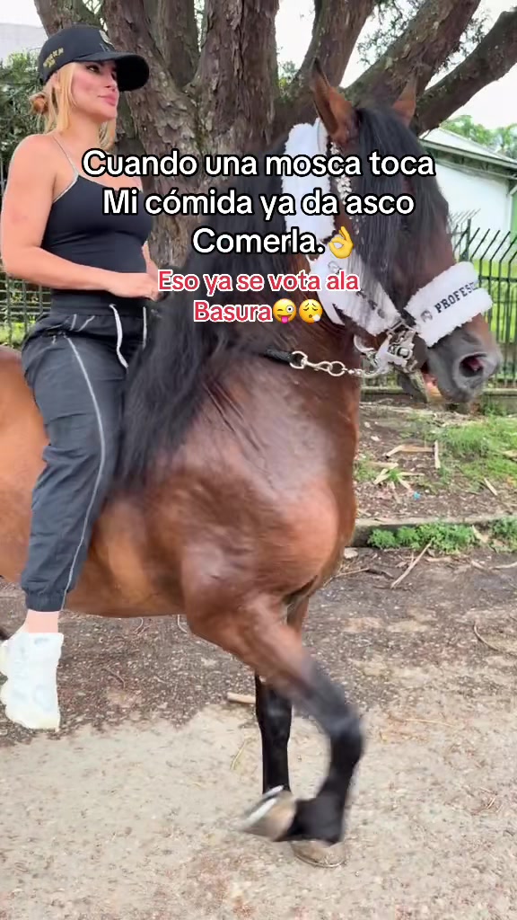 @🐴TATA🐴 🐴PROFESOR DEJM🐴