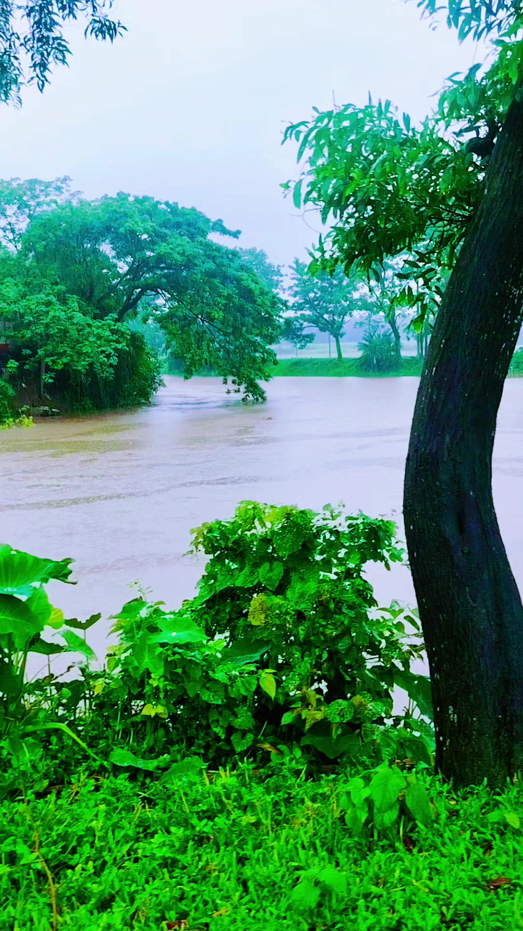 @❤️❤️❤️লিজা মনি❤️❤️❤️
