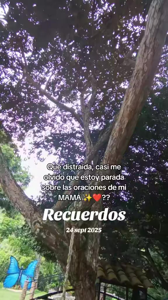 @By Alice Oficial