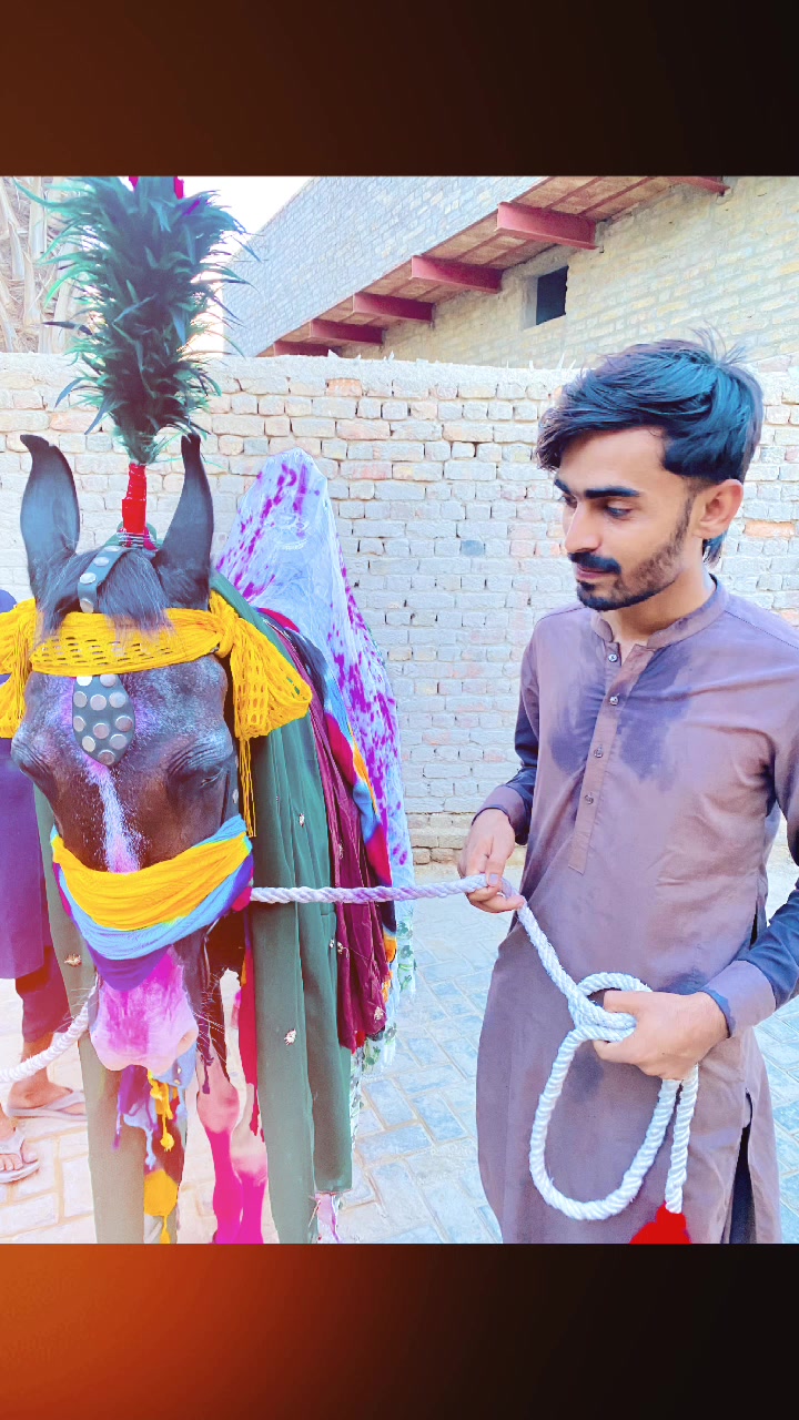 @m.moiz110