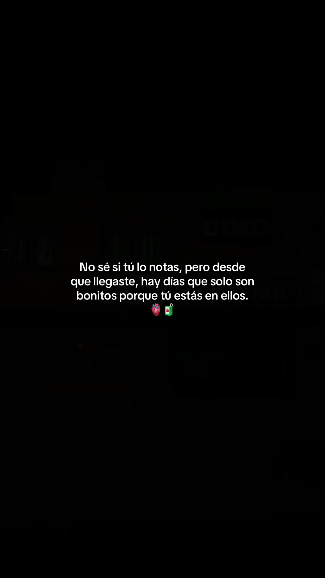 @Gatocix 🐱