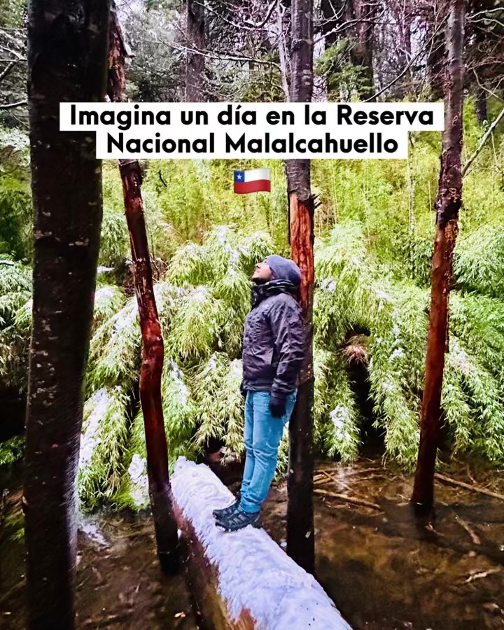 @unpalodevida