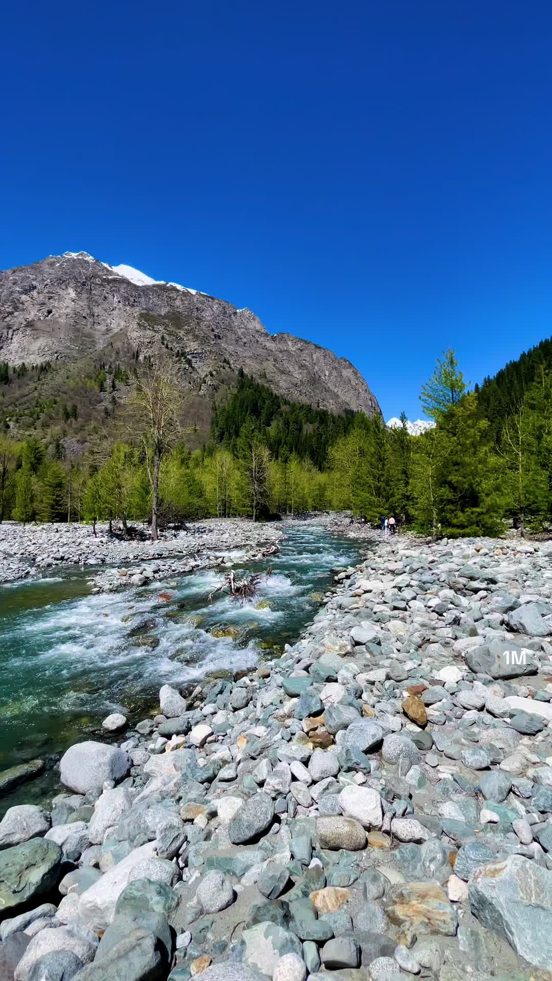 @Muskan🎀🇦🇫✌️🇵🇰