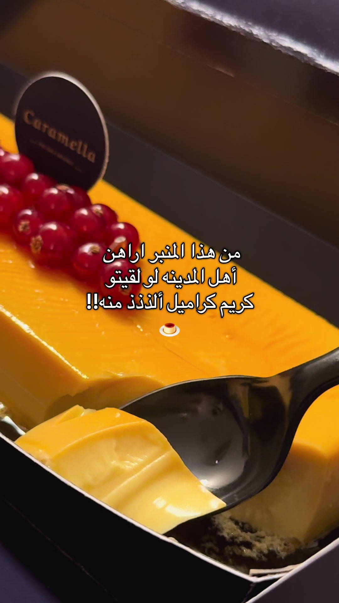 @نـوسـا المديـنــة 🪿