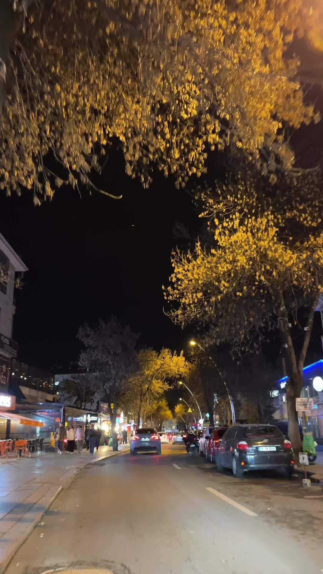 @𝐹𝓊𝓇𝓀𝒶𝓃 