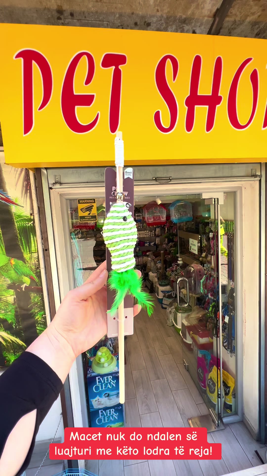 @PET SHOP KRISTI