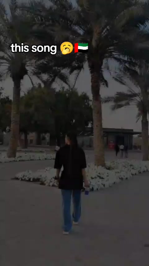 @sanii❤️🩹