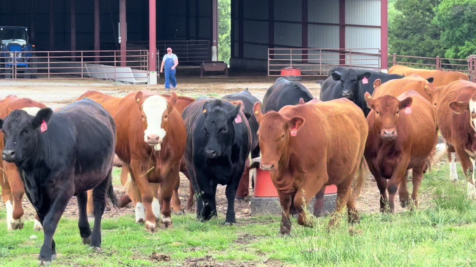 @Massey Land & Cattle