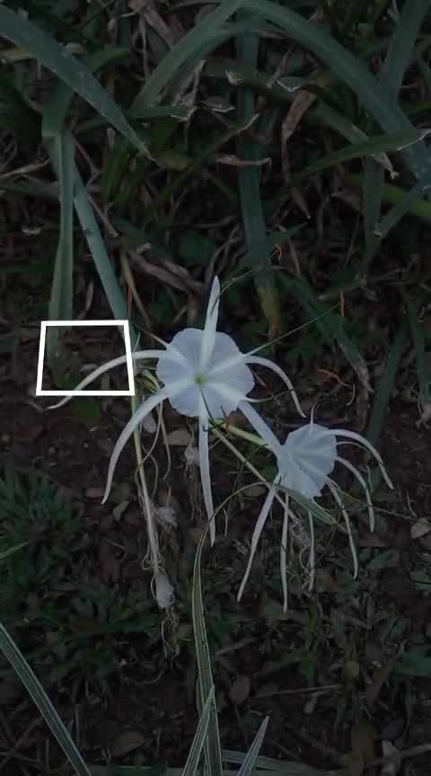 @Ichsan Solihudin