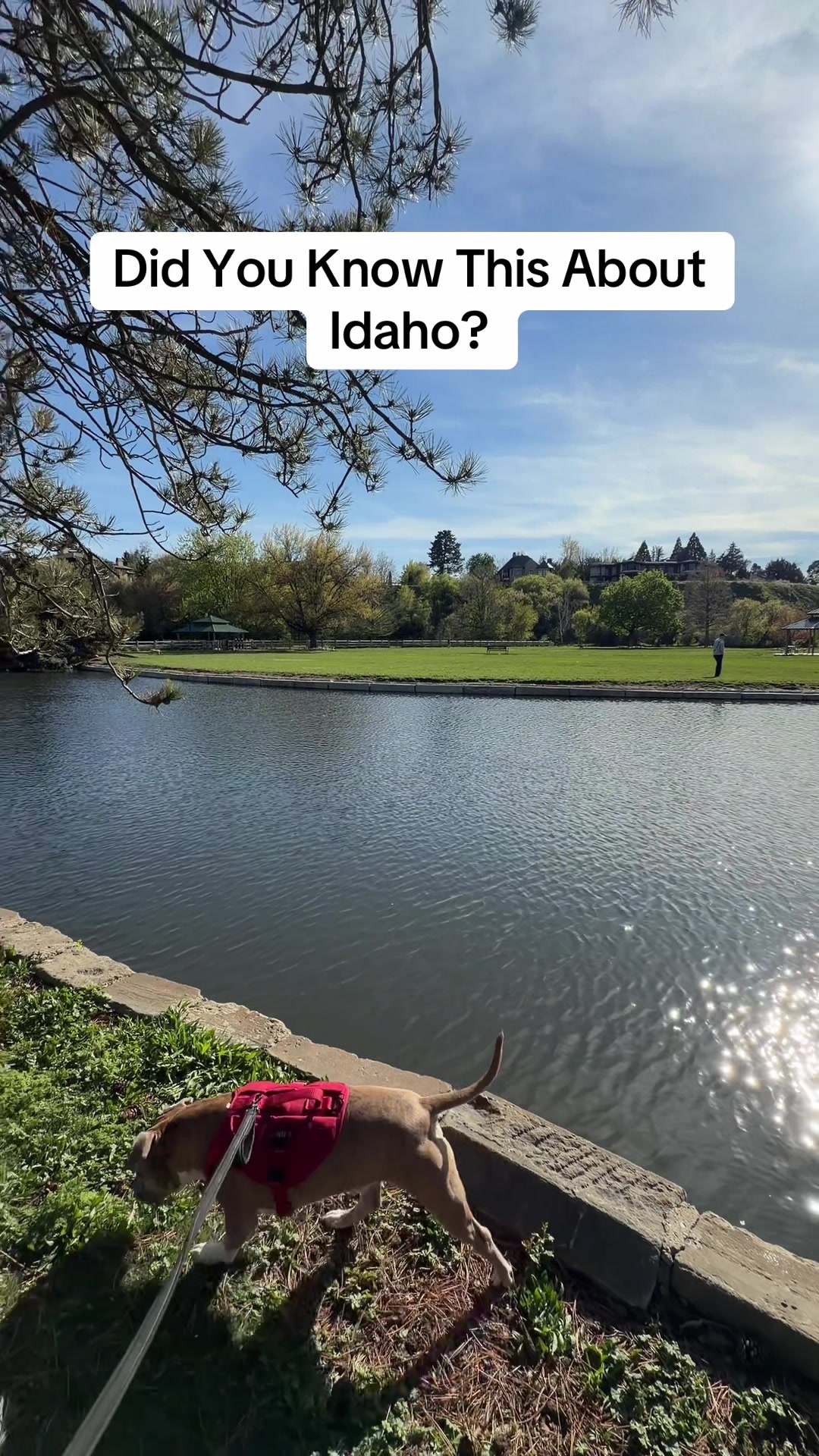 @Naseem Eissa | Idaho Realtor