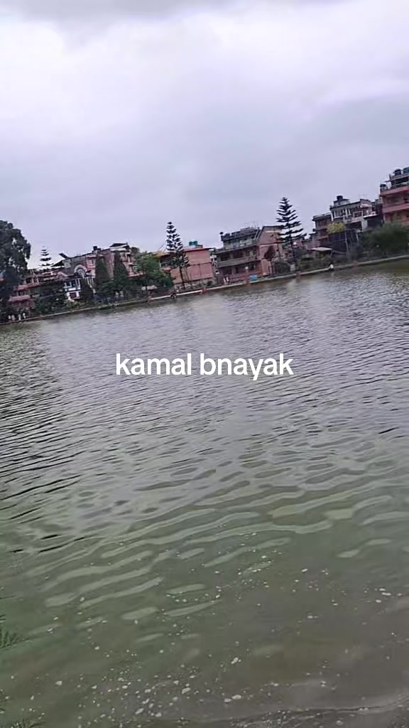 @Sanu Puri