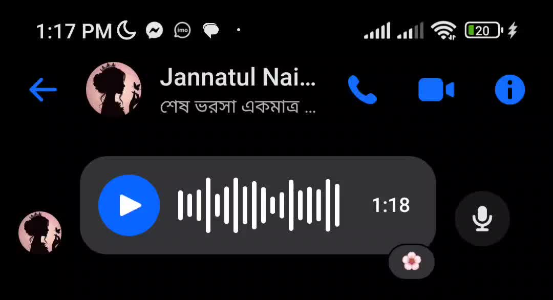 @Voice Of Jannatul
