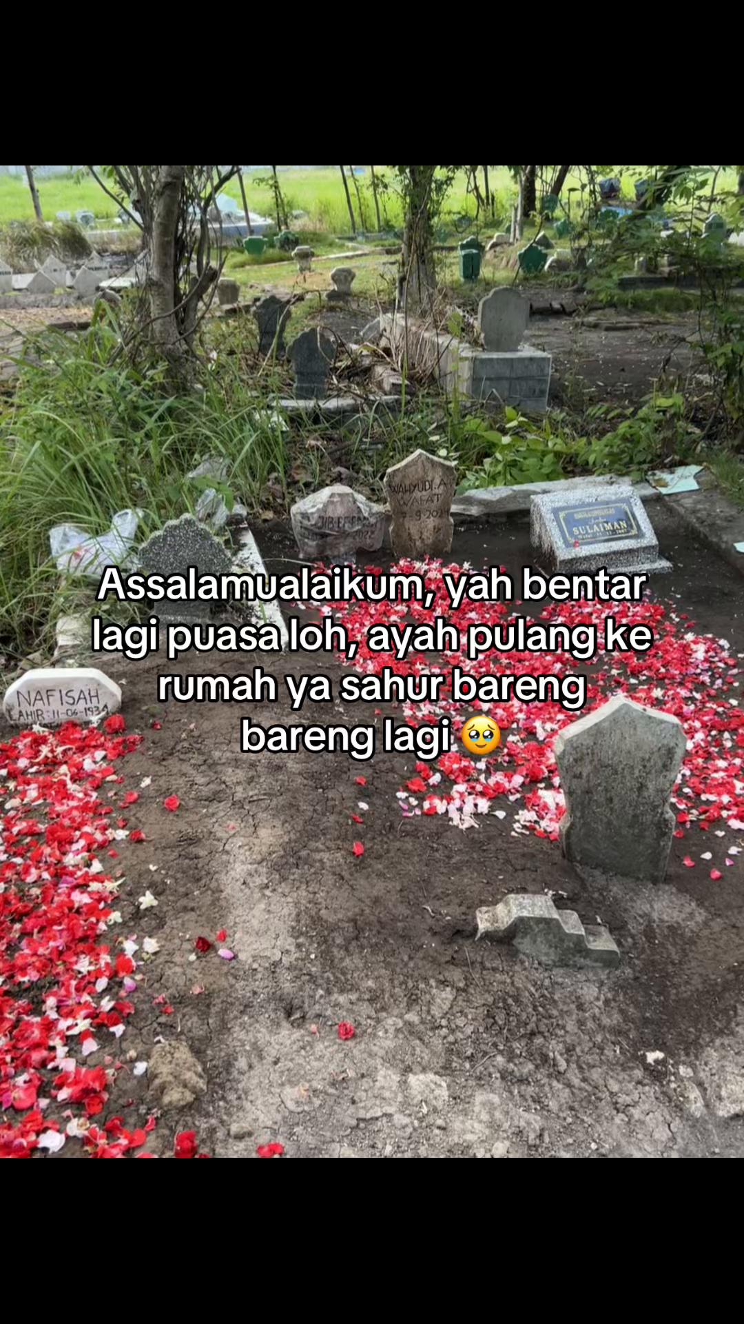 @๐
๐ป