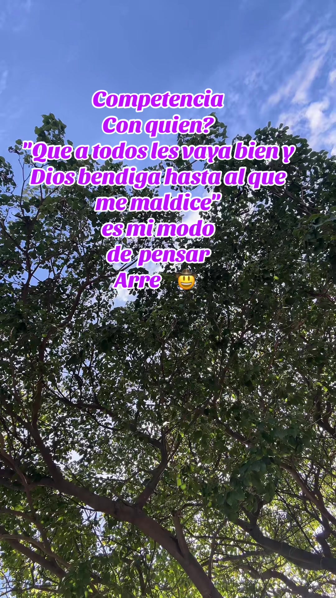 @Luis Angel1989
