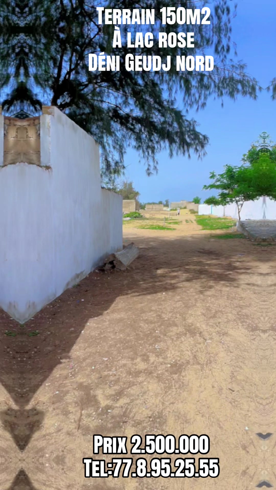 @Sénégal dakar habitat 🇸🇳