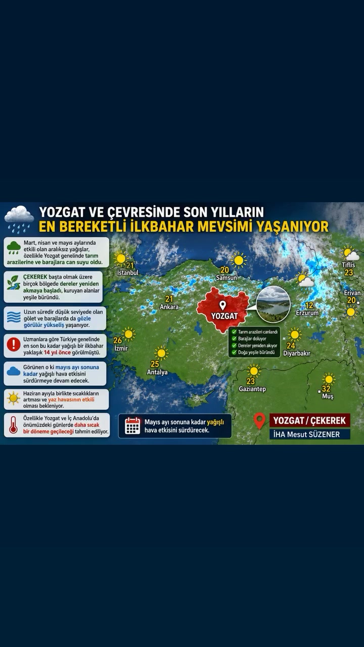 @mesut s&uuml;zener