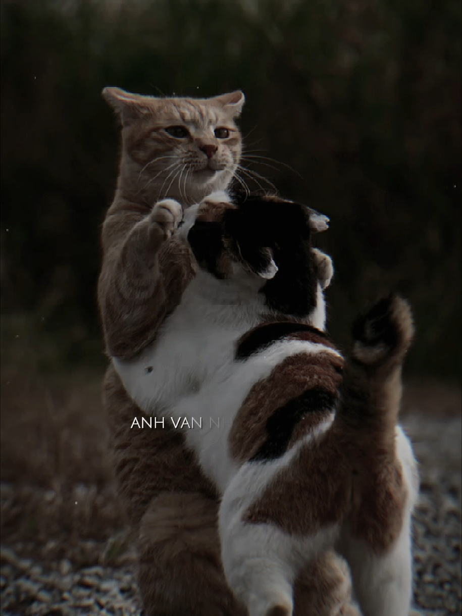 @𝕊𝕔𝕙𝕠𝕠𝕝𝕚𝕟𝕘