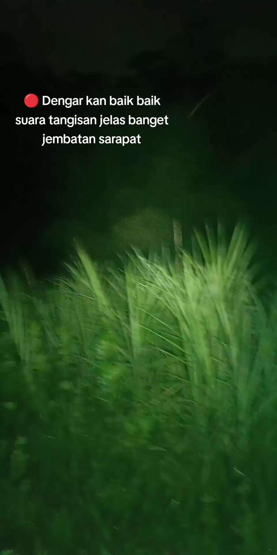 @๐๐๐ง๐๐ซ๐ ๐๐ข๐ฃ๐๐ฒ๐