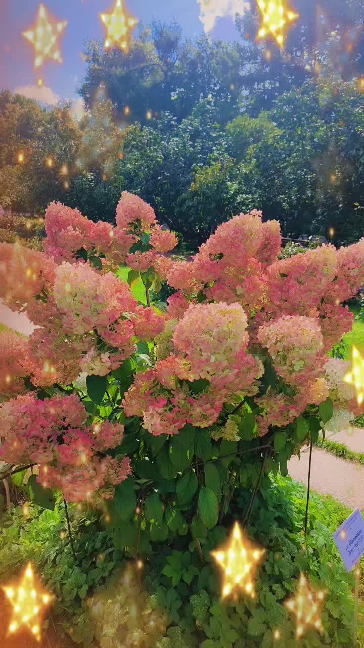 @꧁ღツ🇷🇺 ℨℯሎℯዘ&ocirc;┍ሎằℨằЯ 🇷🇺ツღ꧂