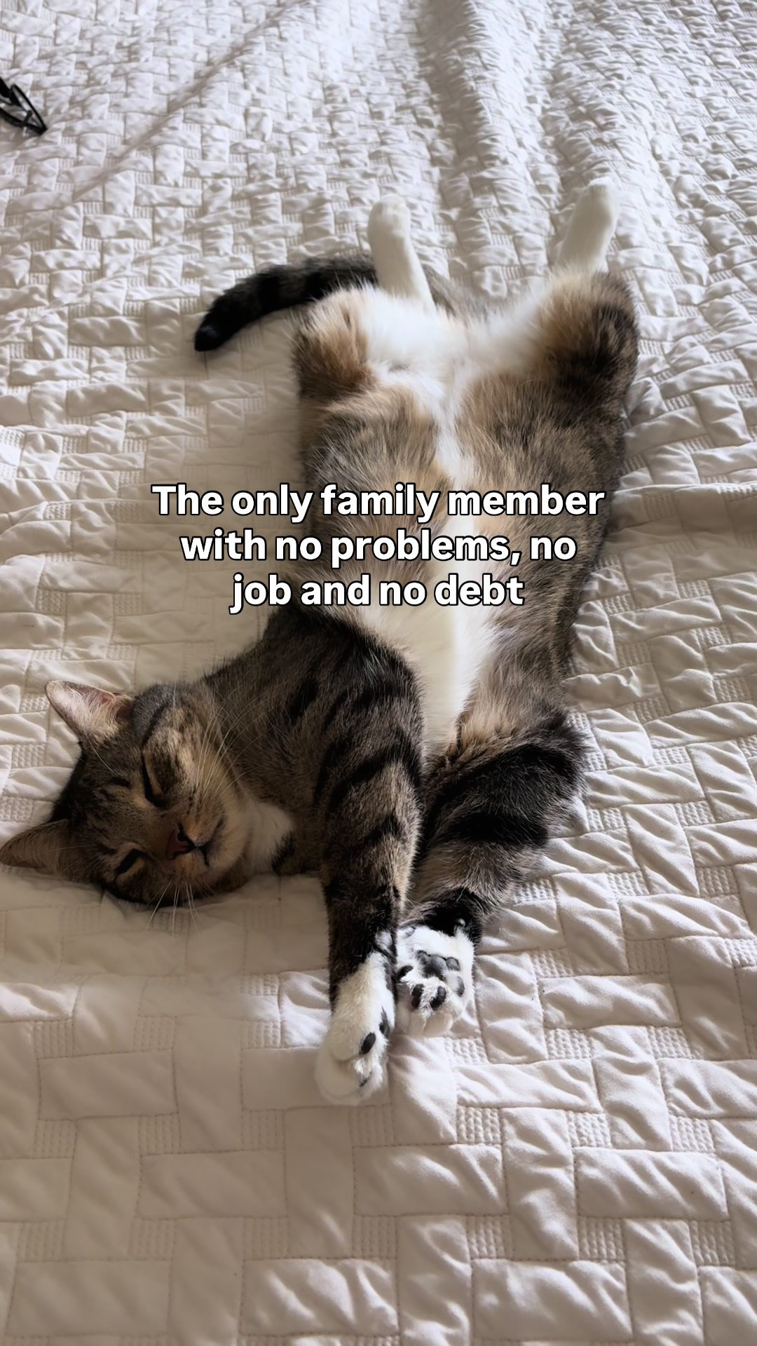 @BrothersINtroubles