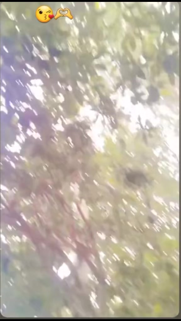 @AartiSah37🖤🩶