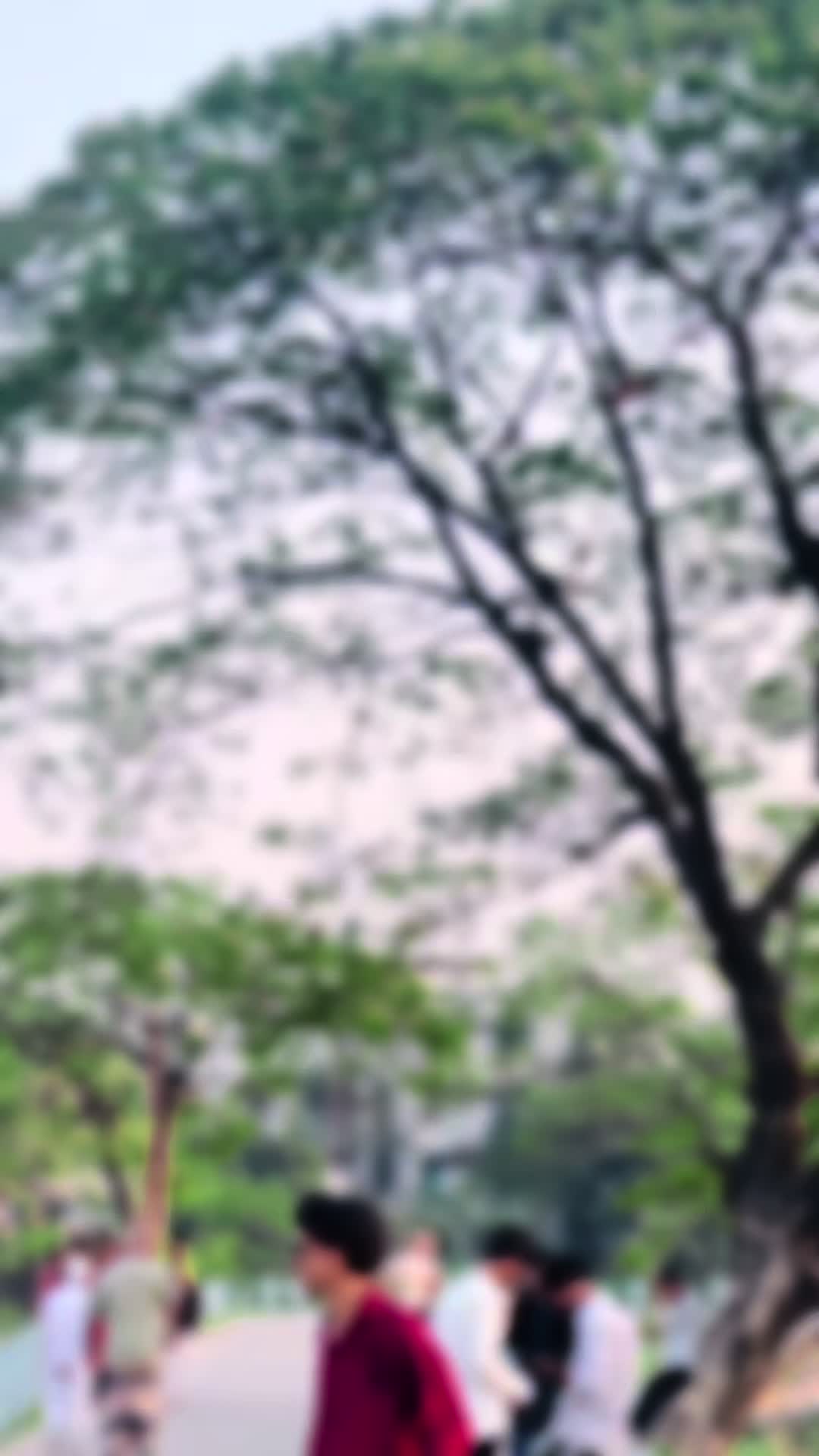 @🌙ShuVo 💐