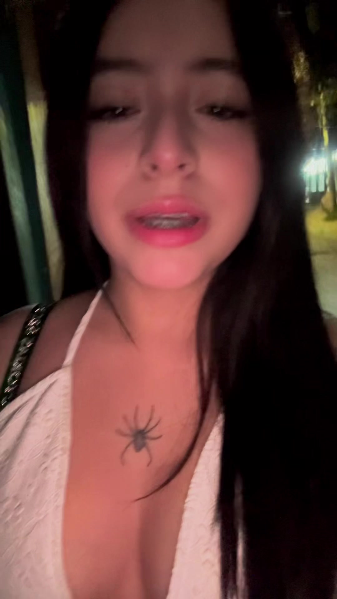 @🕷️