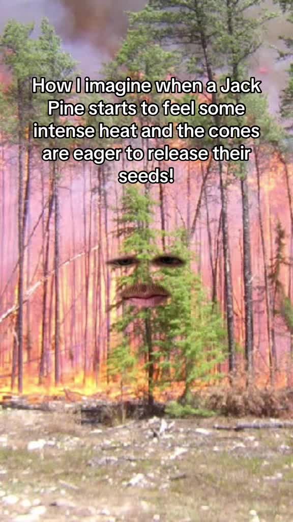 @Naturalist James Anderson