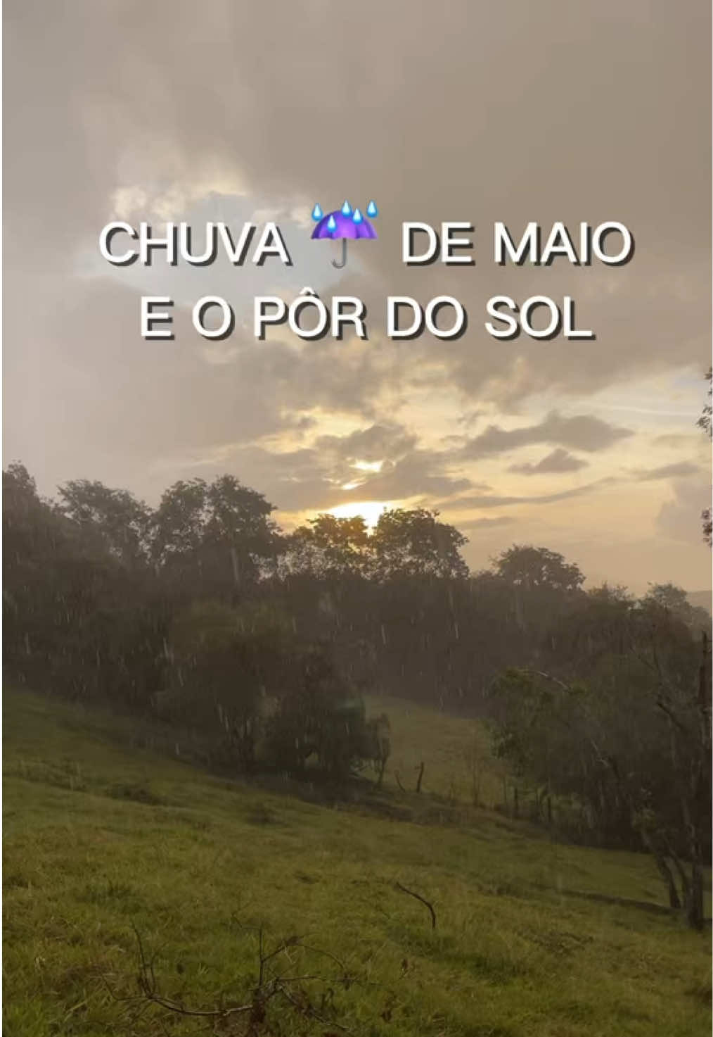 @JDM A NATUREZA EM AÇÃO